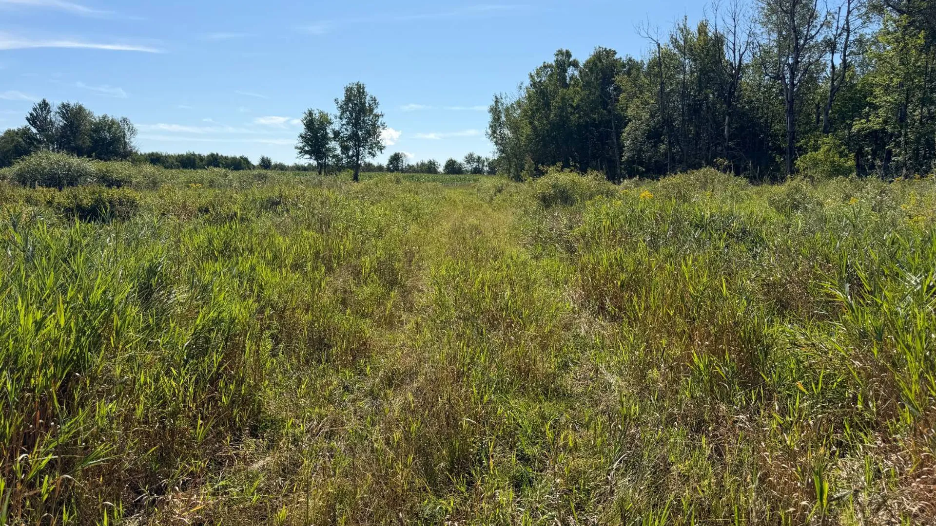 Property at 29 Station Hill Road, Ellenburg Depot, NY 12935 37