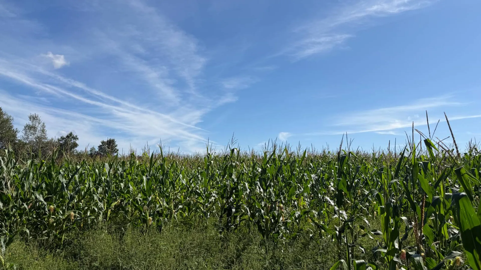 Property at 29 Station Hill Road, Ellenburg Depot, NY 12935 38