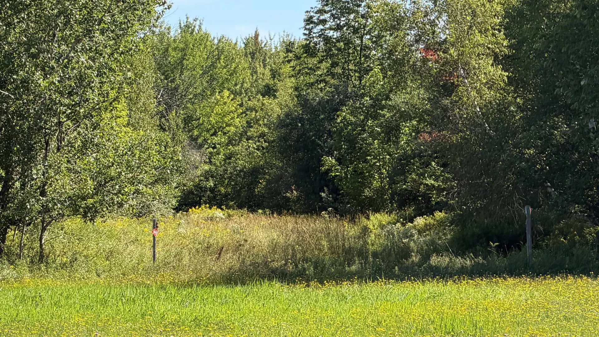 Property at 29 Station Hill Road, Ellenburg Depot, NY 12935 42