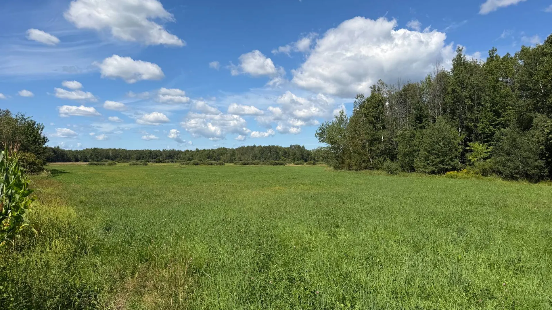Property at 29 Station Hill Road, Ellenburg Depot, NY 12935 44