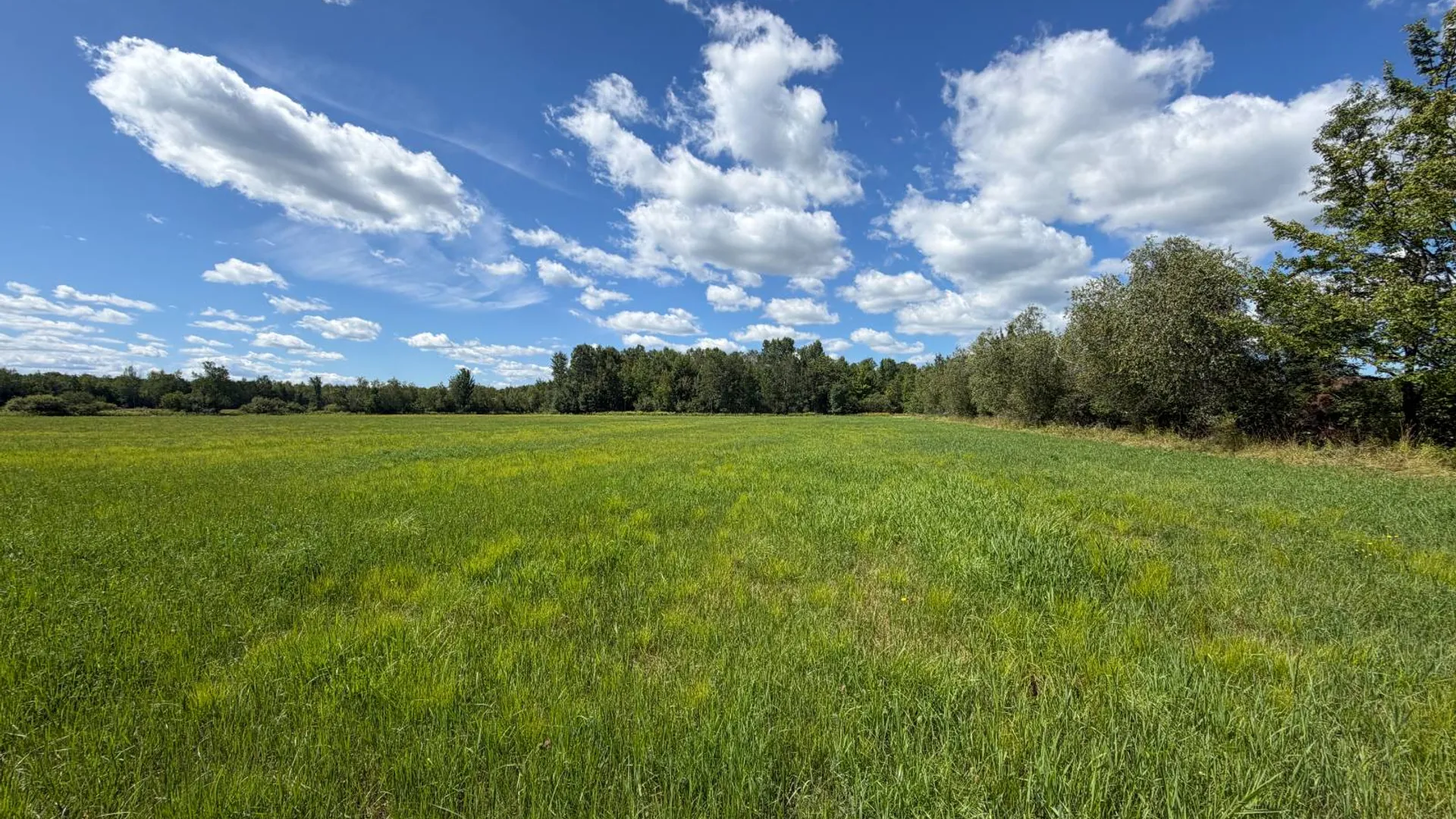 Property at 29 Station Hill Road, Ellenburg Depot, NY 12935 45