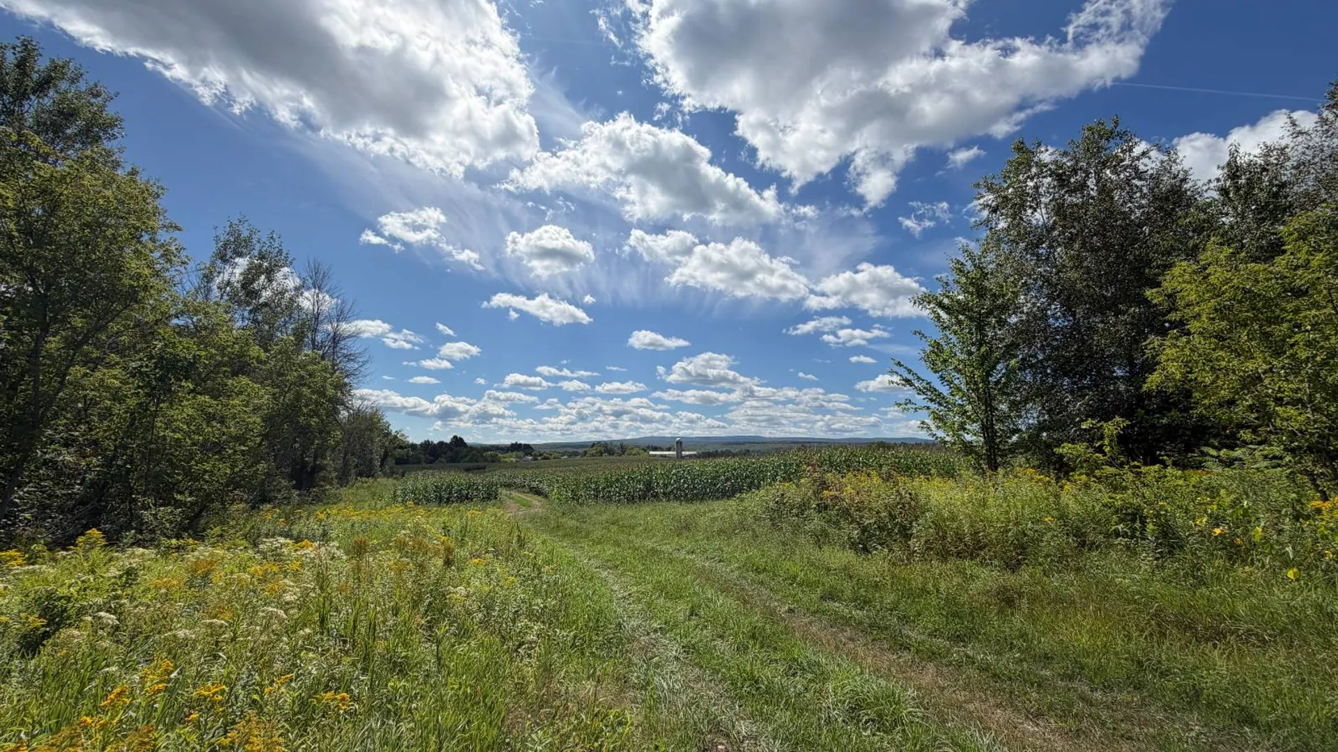 Property at 29 Station Hill Road, Ellenburg Depot, NY 12935 47