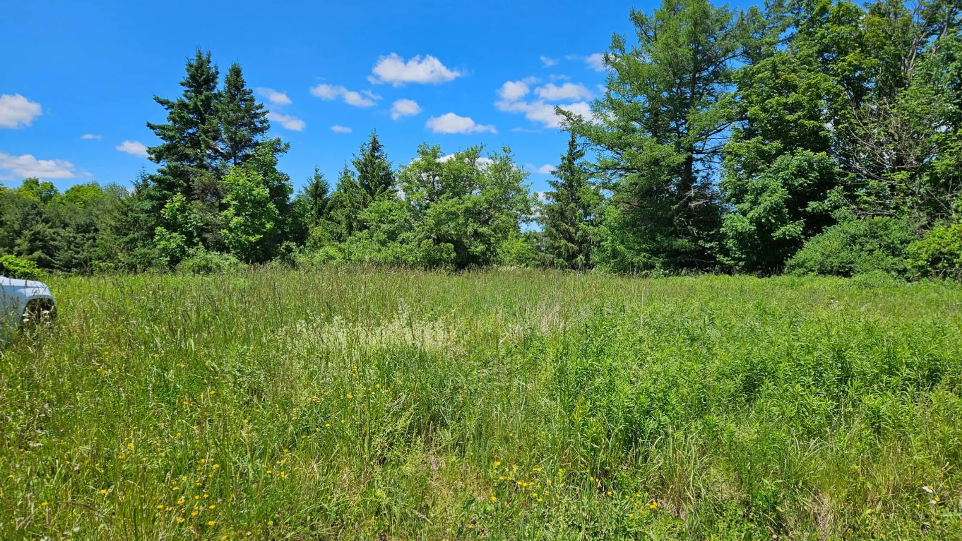 Property at 0 Pierce Hill Rd., Frankinville, NY 14737 7
