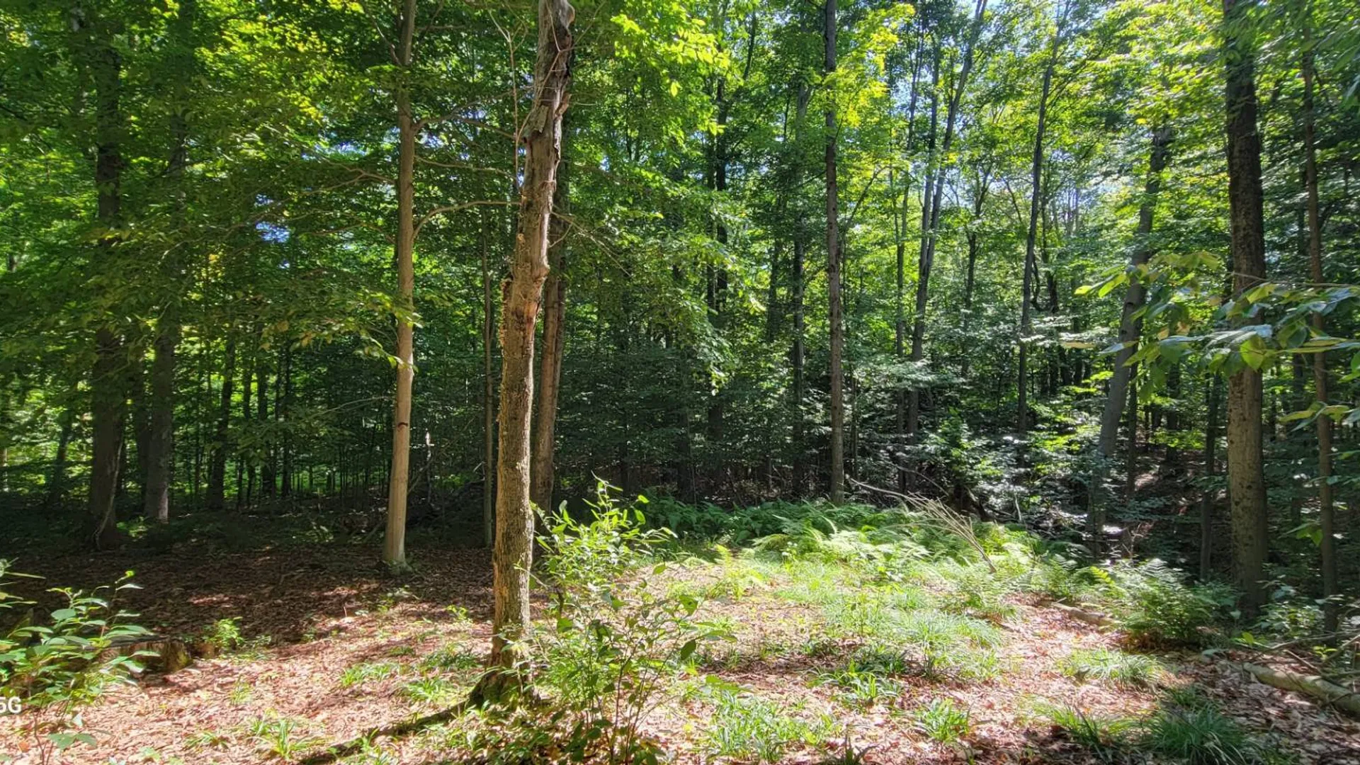 Property at Off Sanford Rd, Martville, NY 13111 11