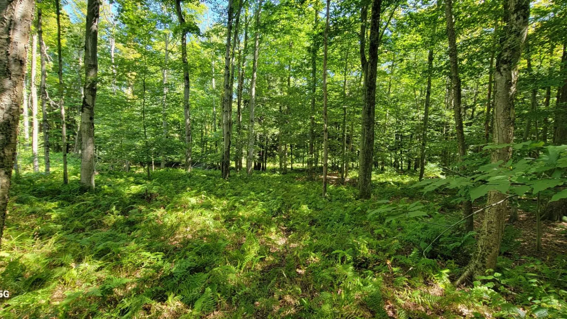 Property at Off Sanford Rd, Martville, NY 13111 13