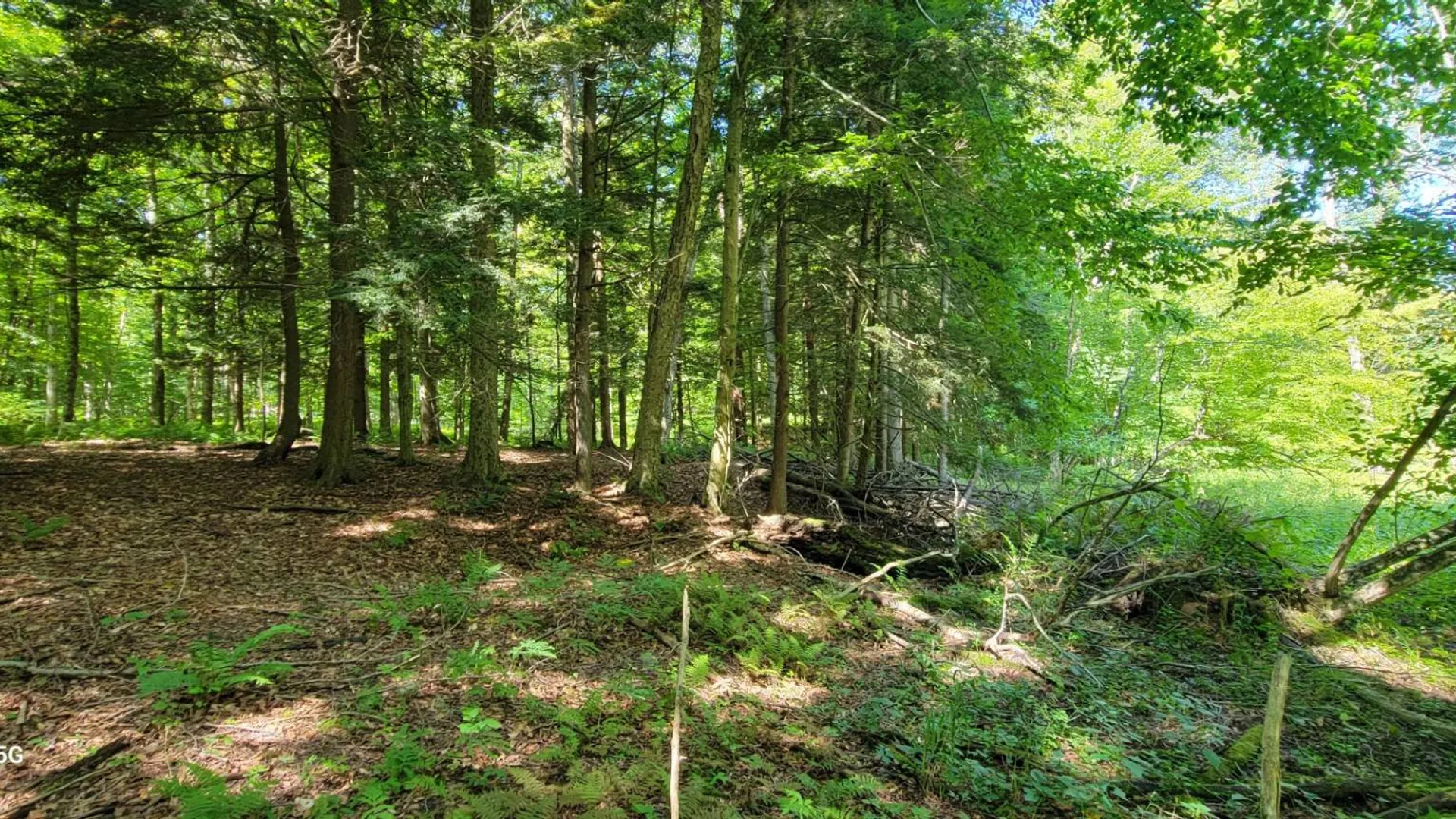 Property at Off Sanford Rd, Martville, NY 13111 19