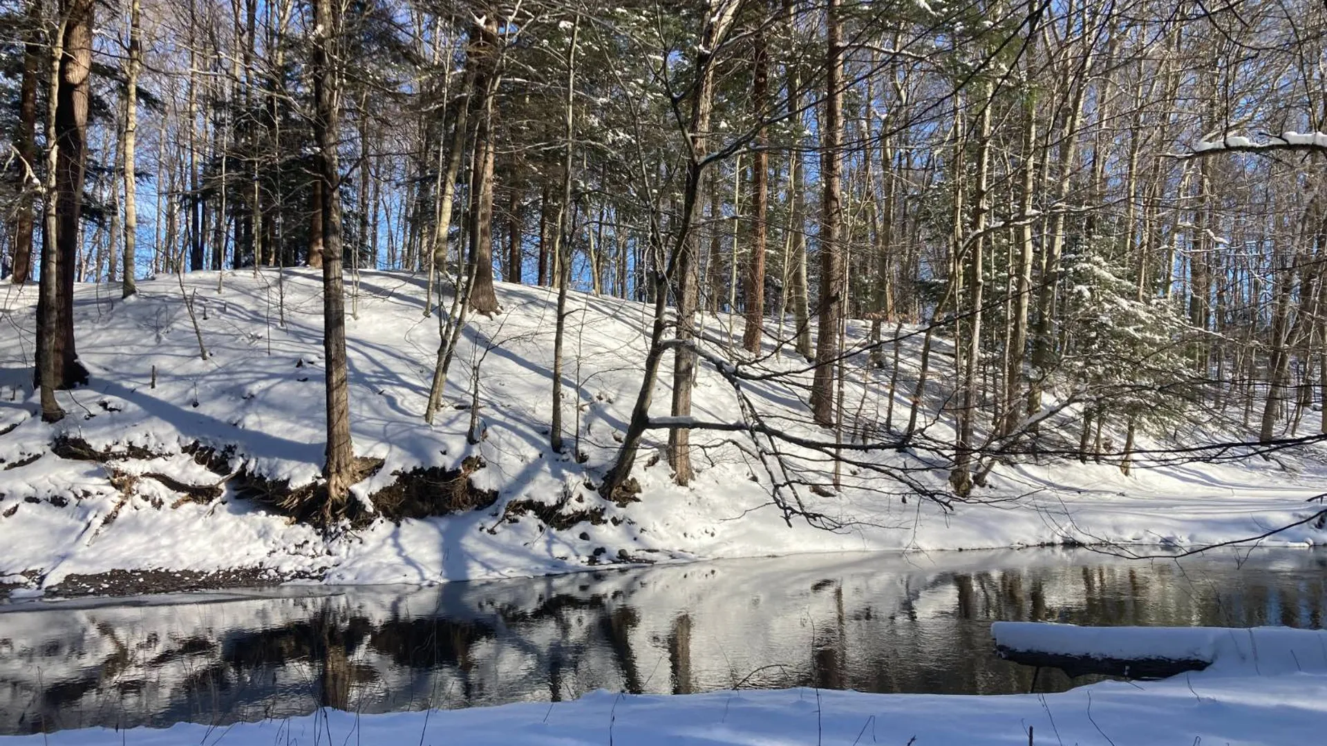 Property at Off Sanford Rd, Martville, NY 13111 23