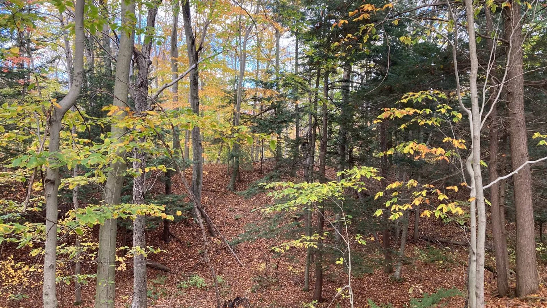 Property at Off Sanford Rd, Martville, NY 13111 25