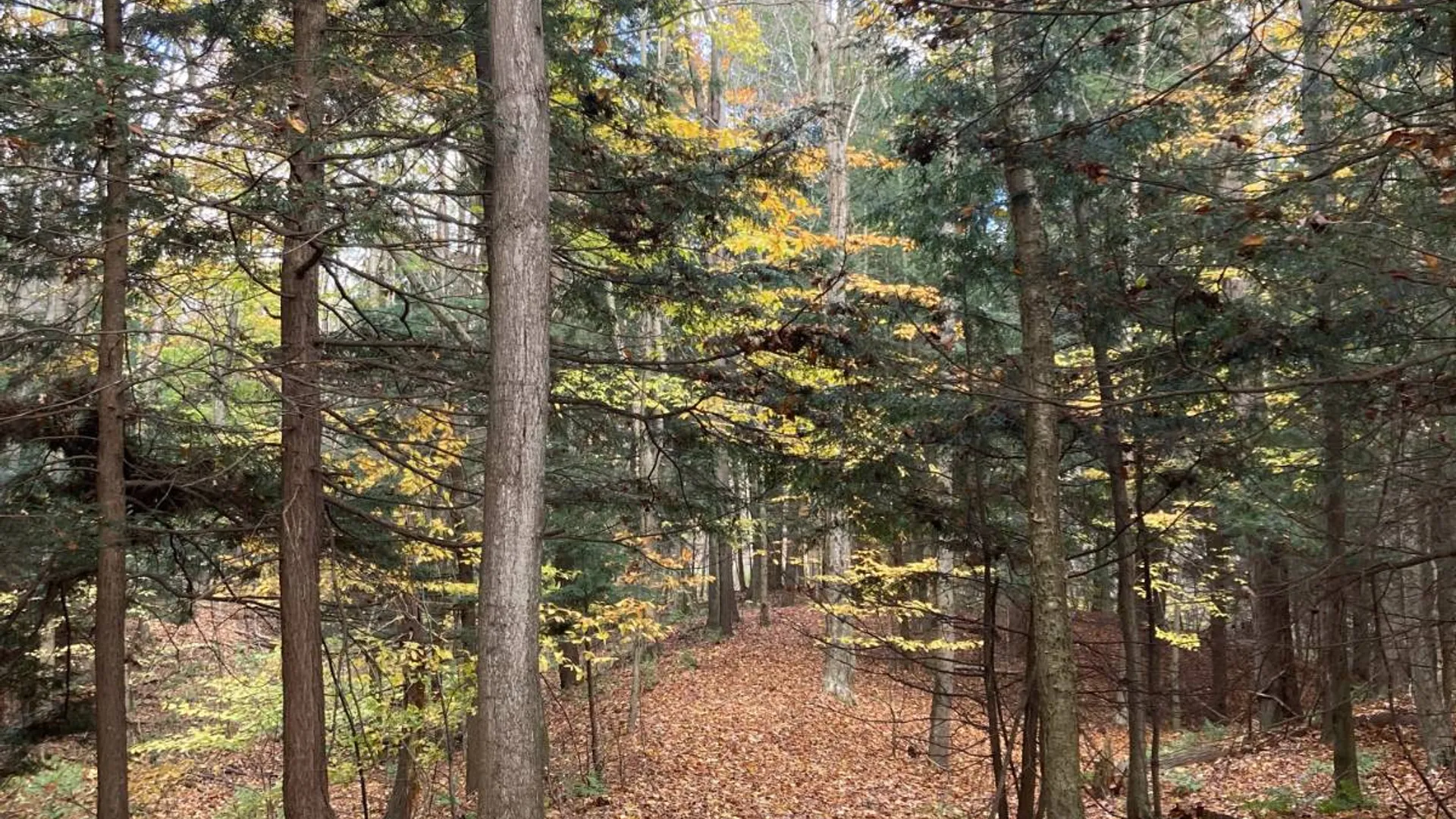 Property at Off Sanford Rd, Martville, NY 13111 26