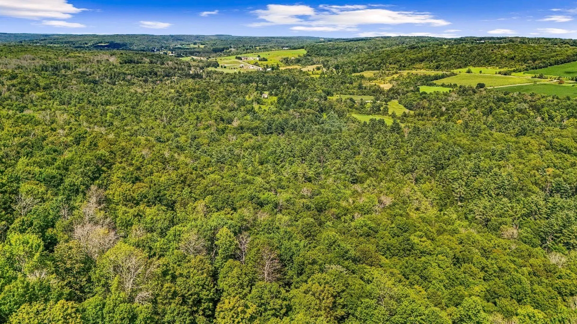 Property at 858 McDonough Rd, Oxford, NY 13830 29