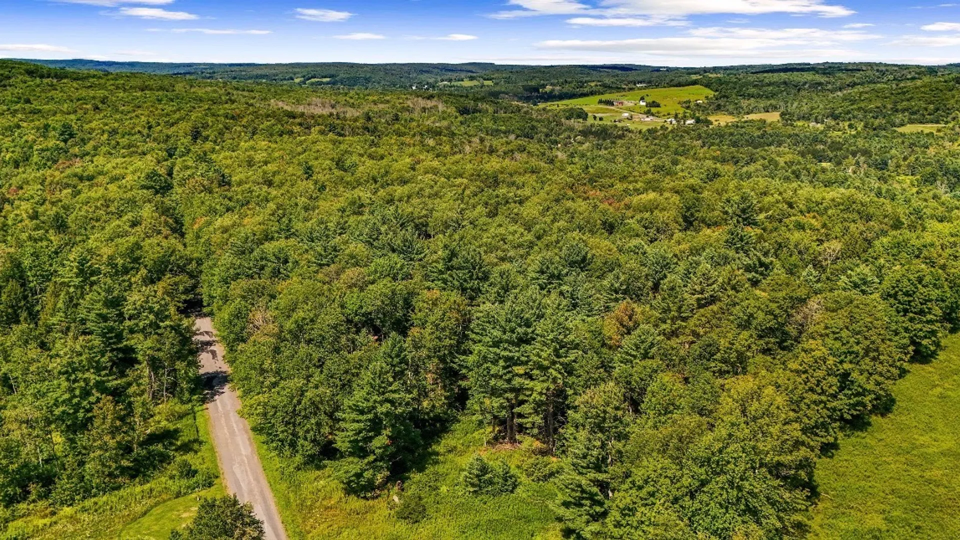 Property at 858 McDonough Rd, Oxford, NY 13830 31
