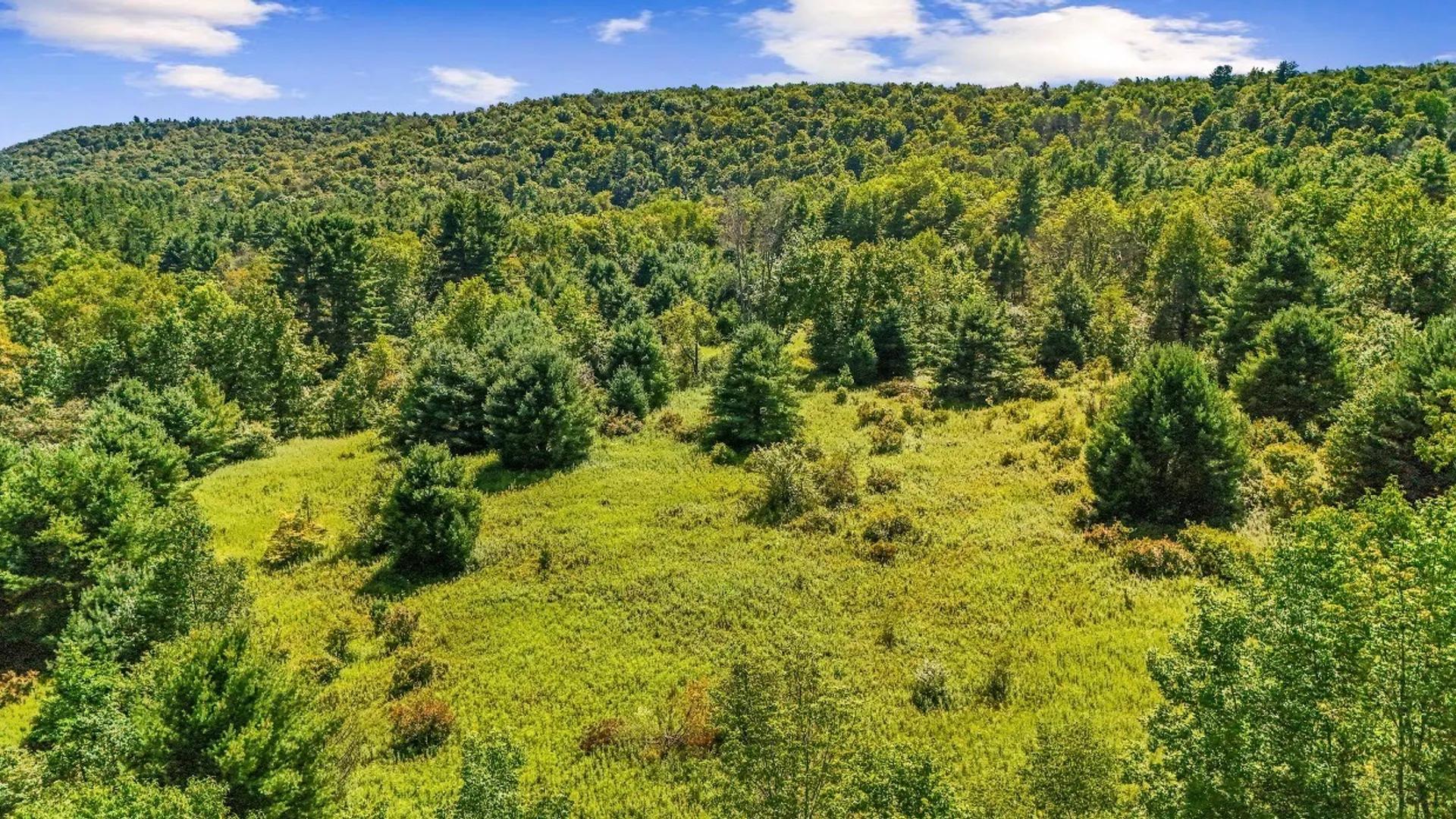 Property at 858 McDonough Rd, Oxford, NY 13830 6
