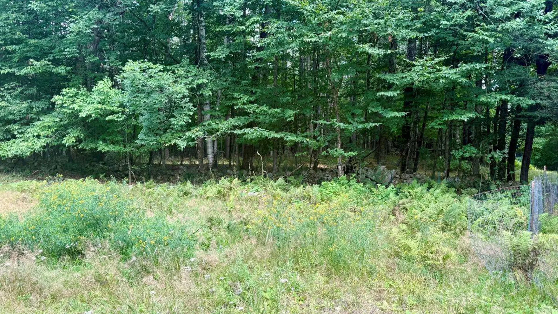 Property at 264 Windfall Road, Wells, NY 12190 4
