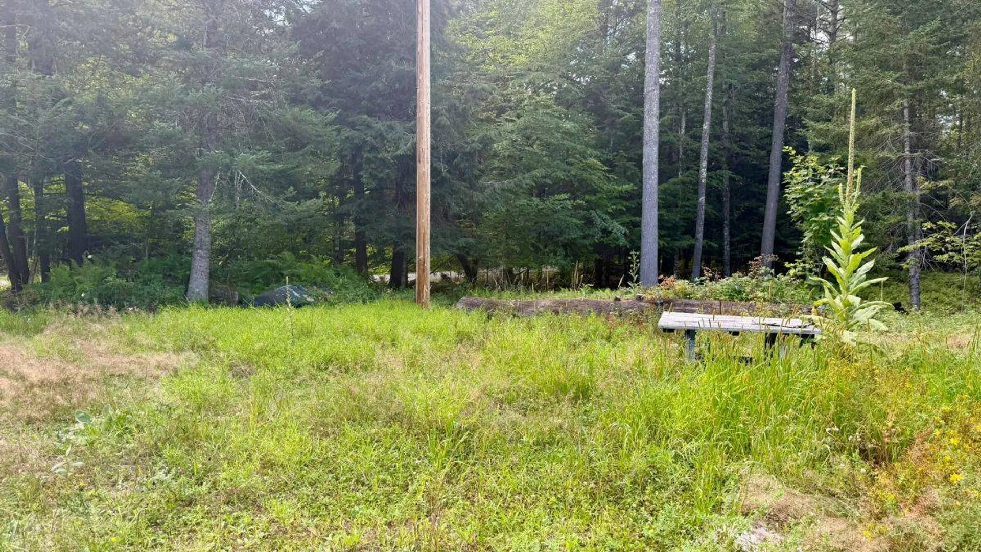 Property at 264 Windfall Road, Wells, NY 12190 8