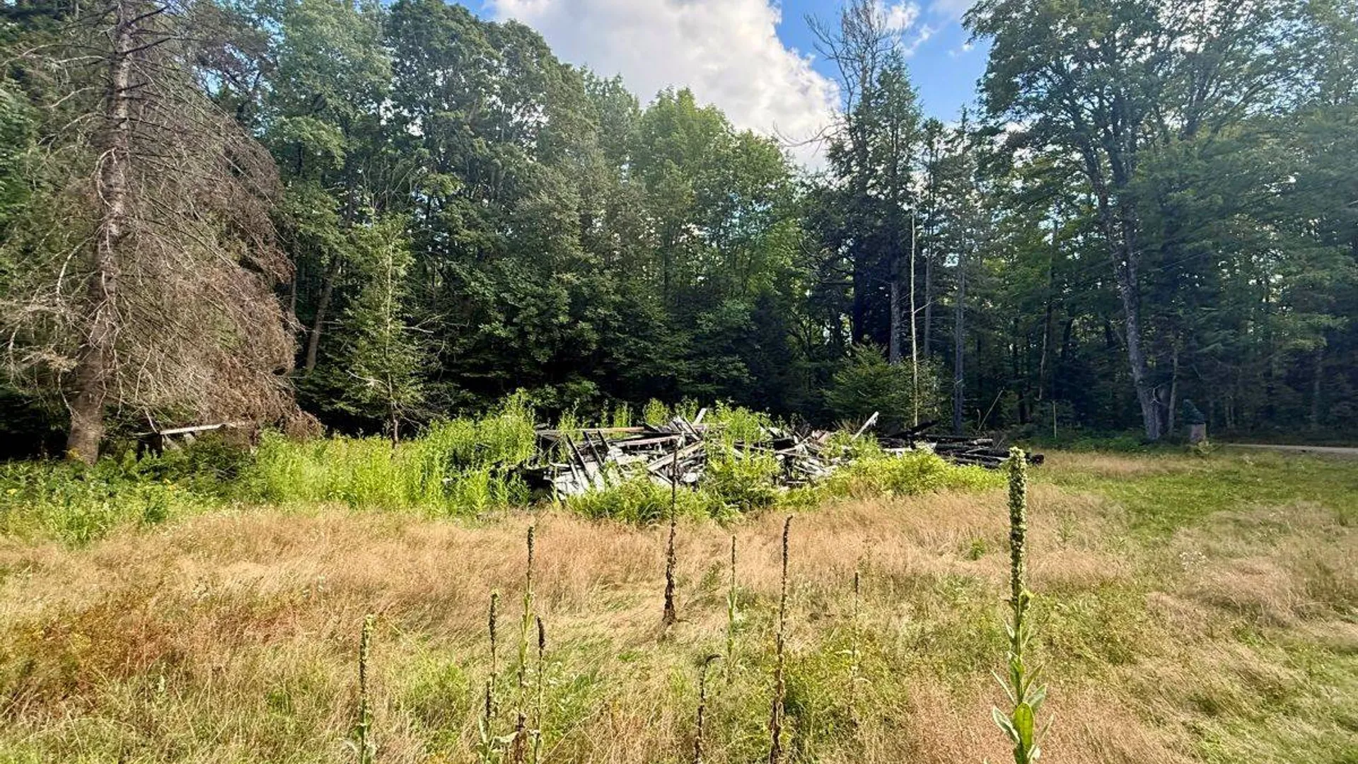 Property at 264 Windfall Road, Wells, NY 12190 9