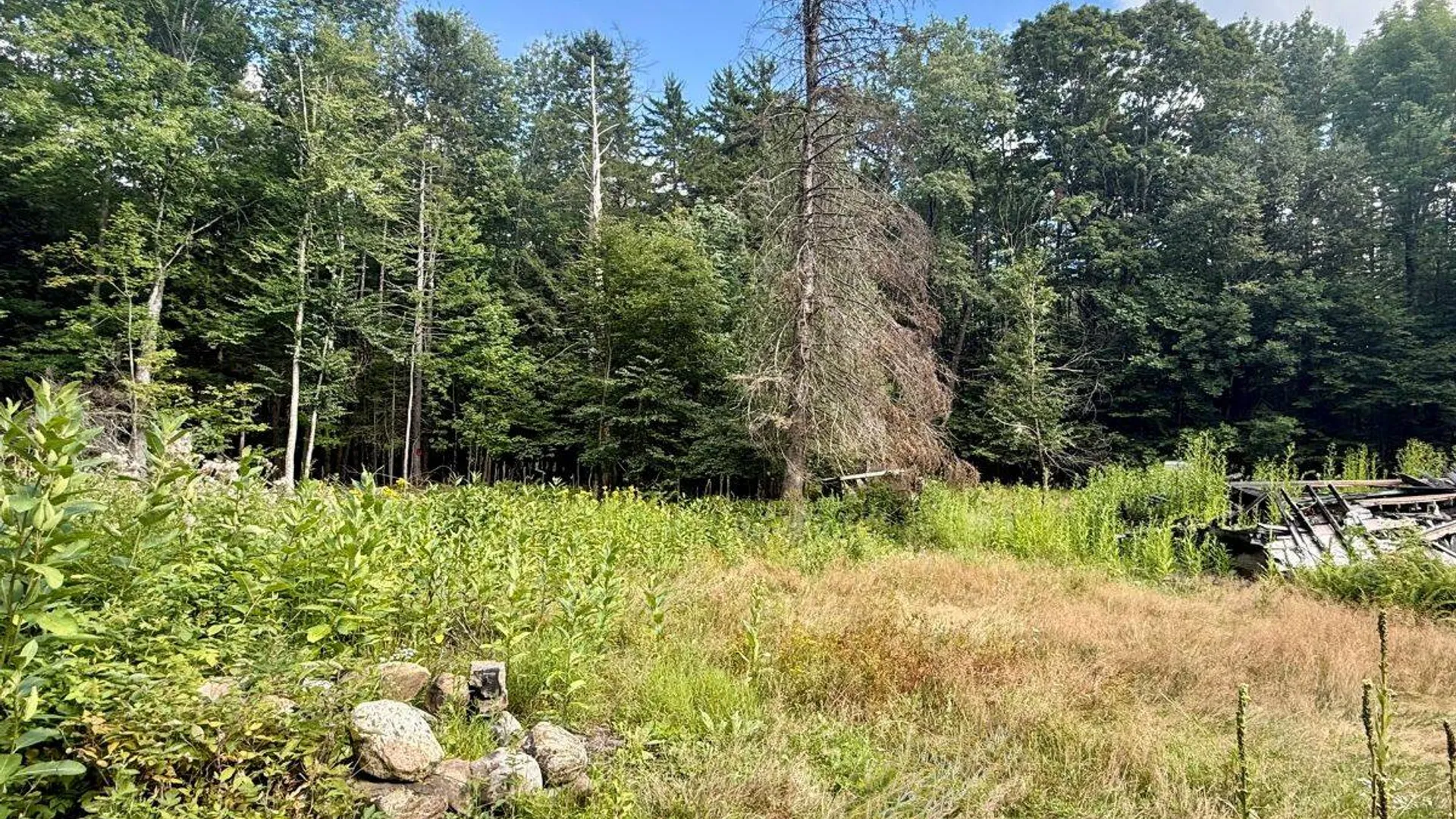 Property at 264 Windfall Road, Wells, NY 12190 11