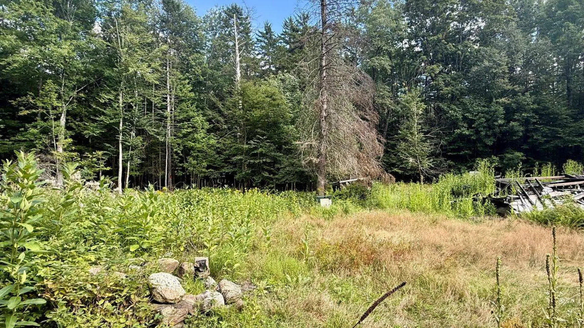 Property at 264 Windfall Road, Wells, NY 12190 12