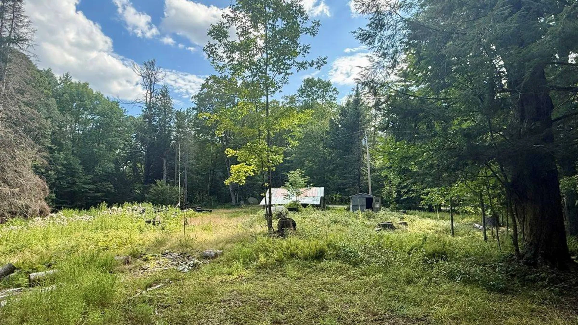 Property at 264 Windfall Road, Wells, NY 12190 13