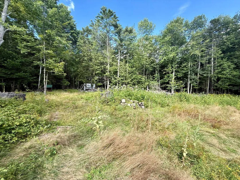 Property at 264 Windfall Road, Wells, NY 12190