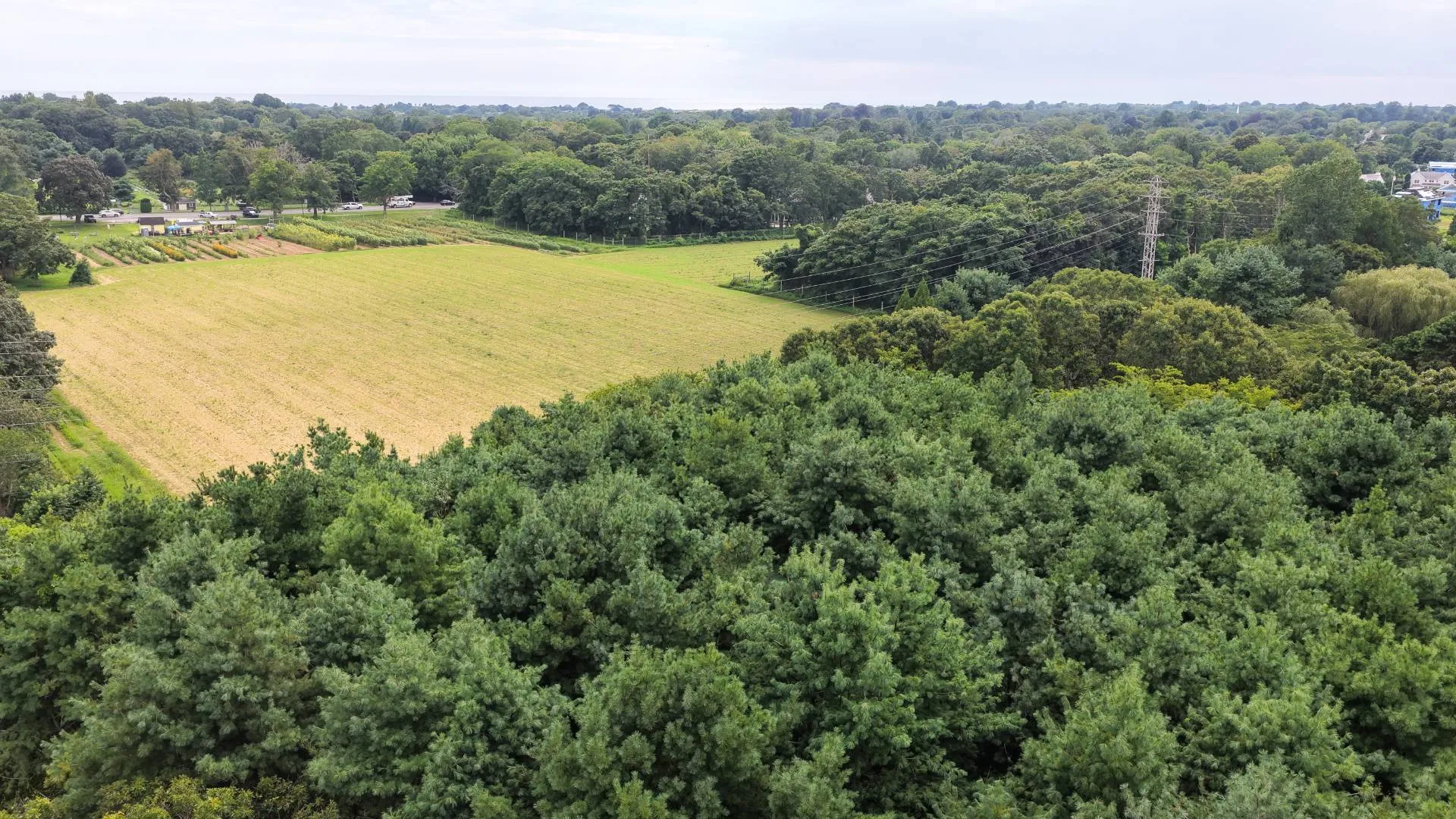 Property at 134 ACCABONAC RD, East Hampton, NY 11937 6