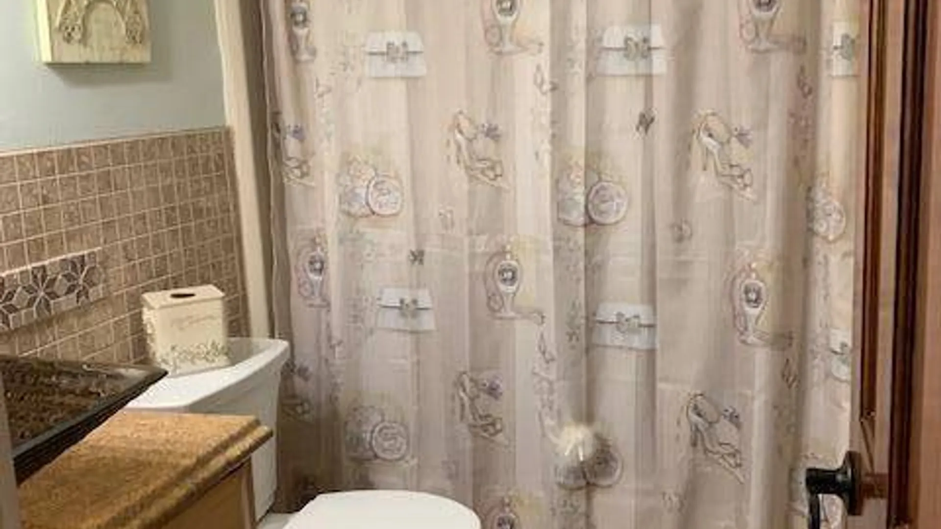 Property at 39 Grant Hill Court, Clifton Park, NY 12065 19