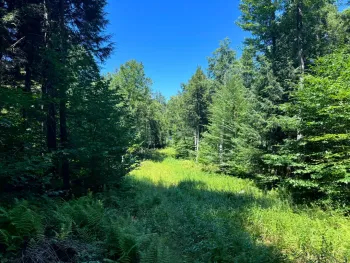 Property at 15 Carleton Pnd Rd, Camden, NY 13316