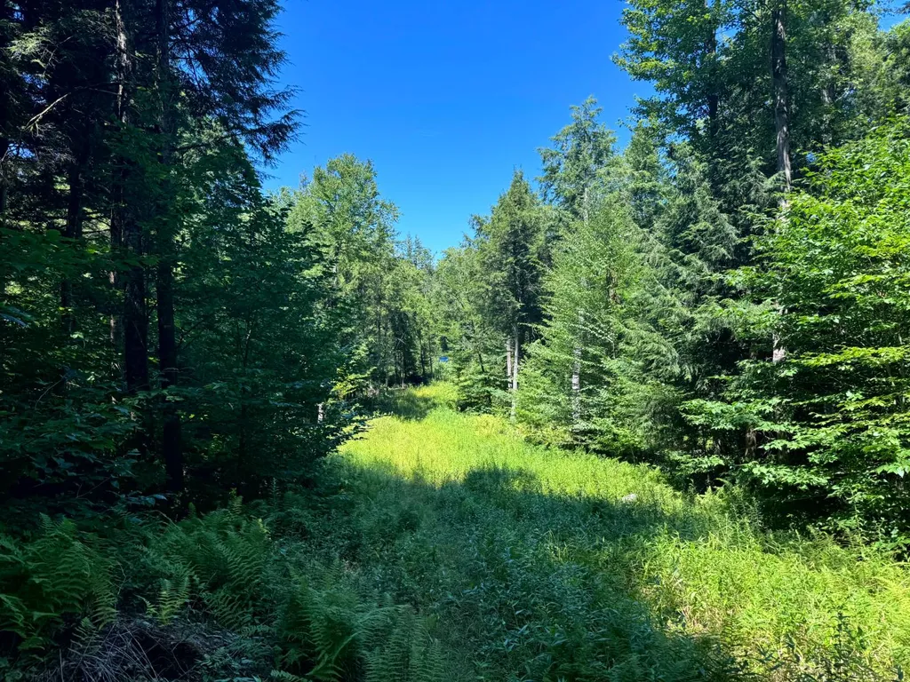 Property at 15 Carleton Pnd Rd, Camden, NY 13316