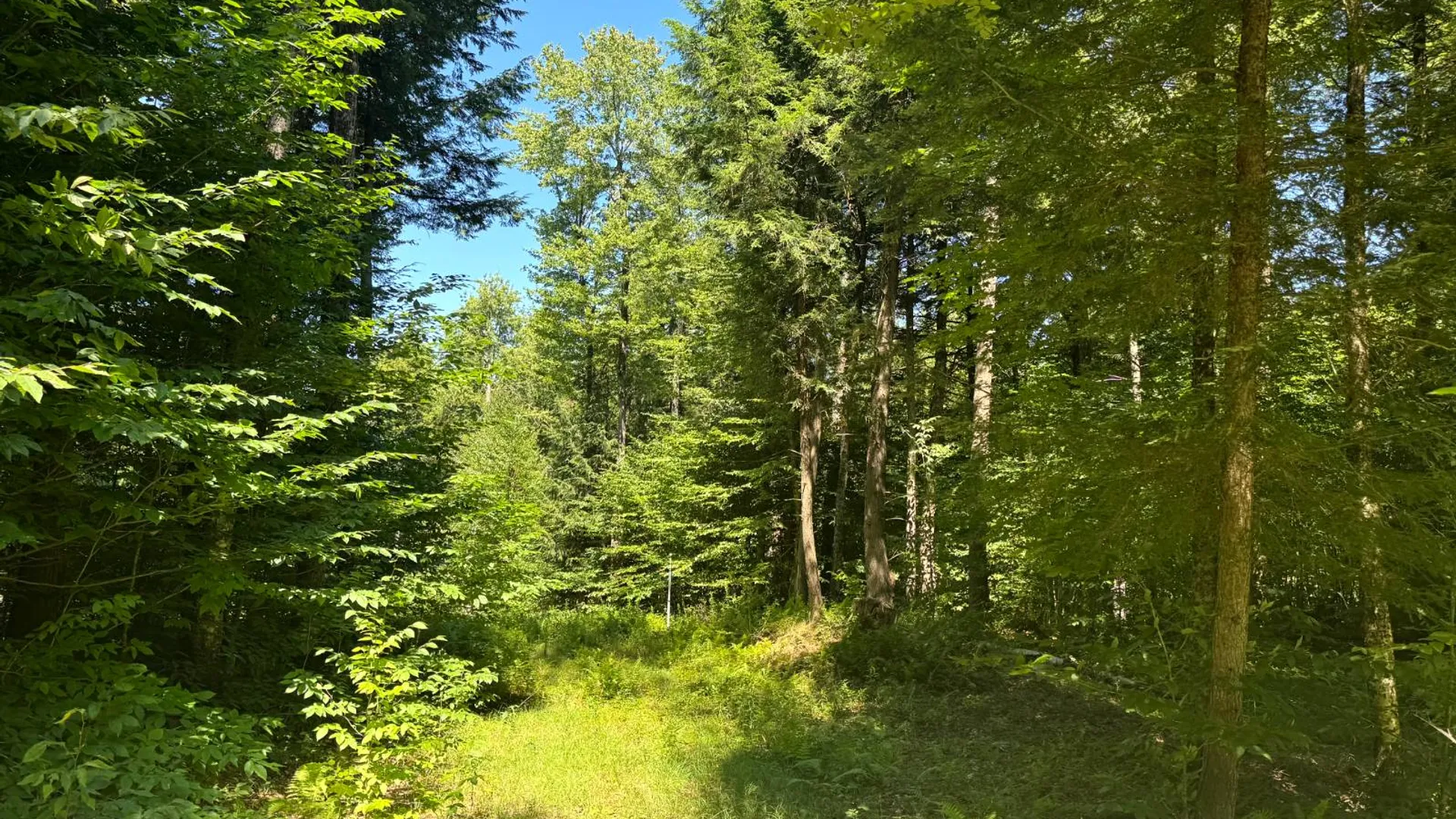 Property at 15 Carleton Pnd Rd, Camden, NY 13316 4