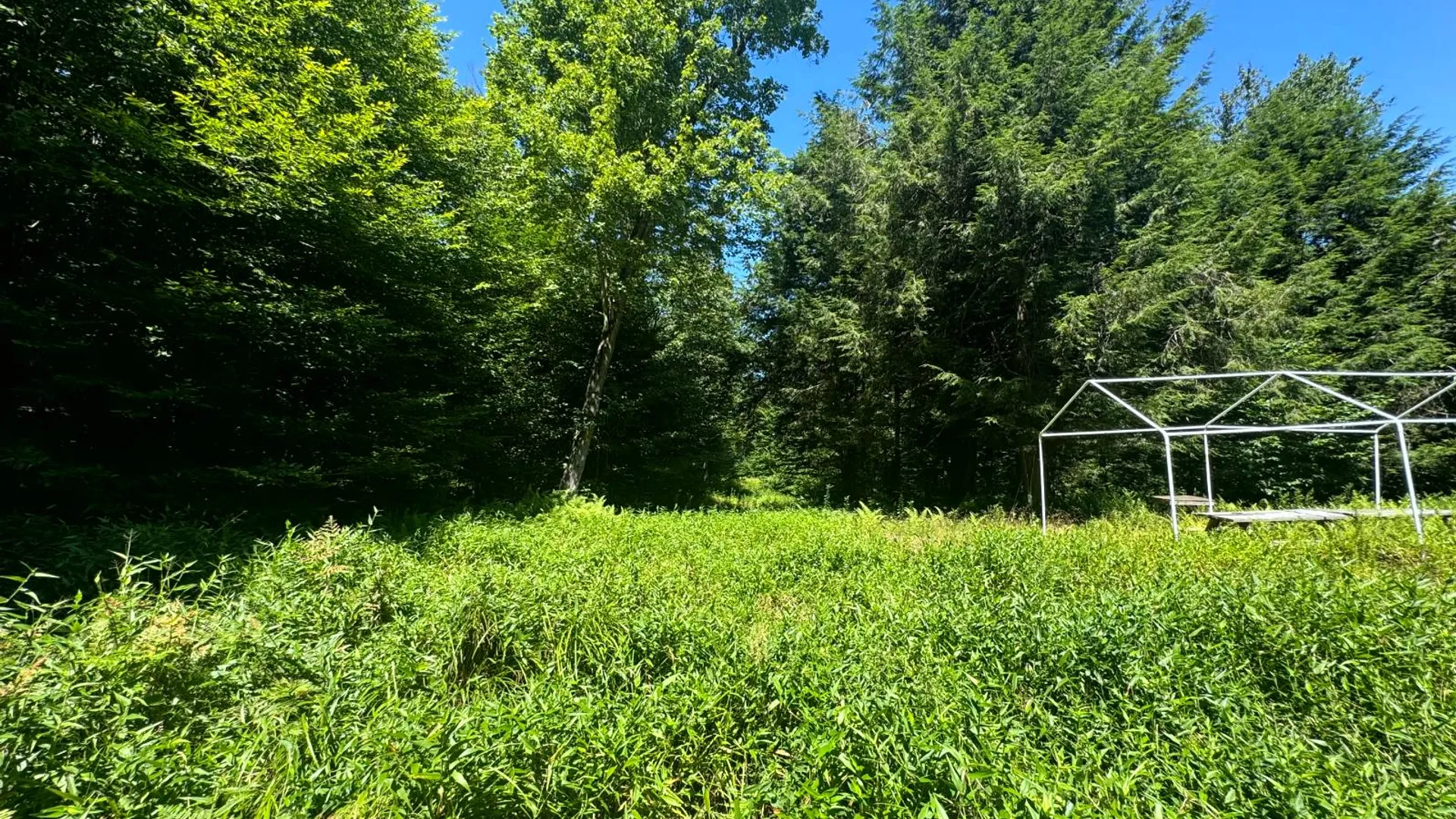 Property at 15 Carleton Pnd Rd, Camden, NY 13316 8