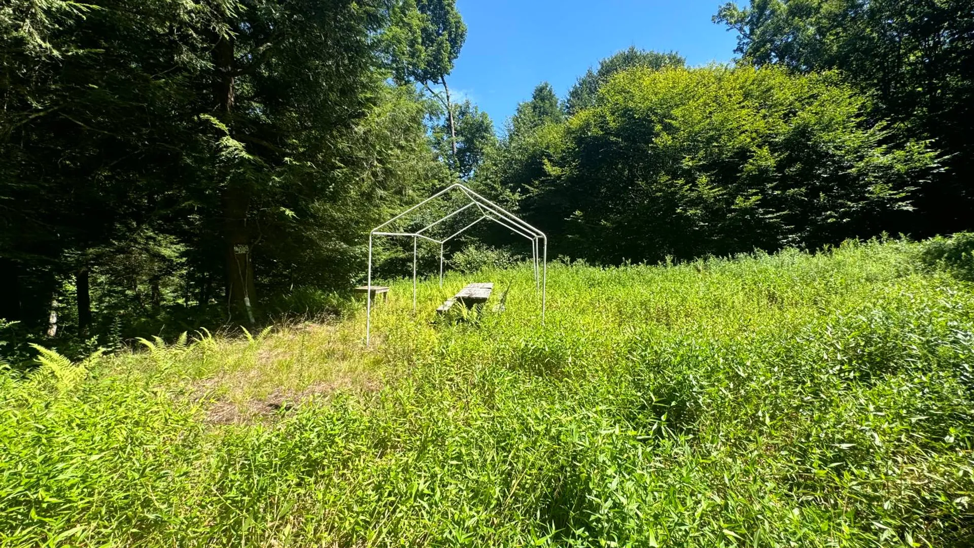 Property at 15 Carleton Pnd Rd, Camden, NY 13316 9