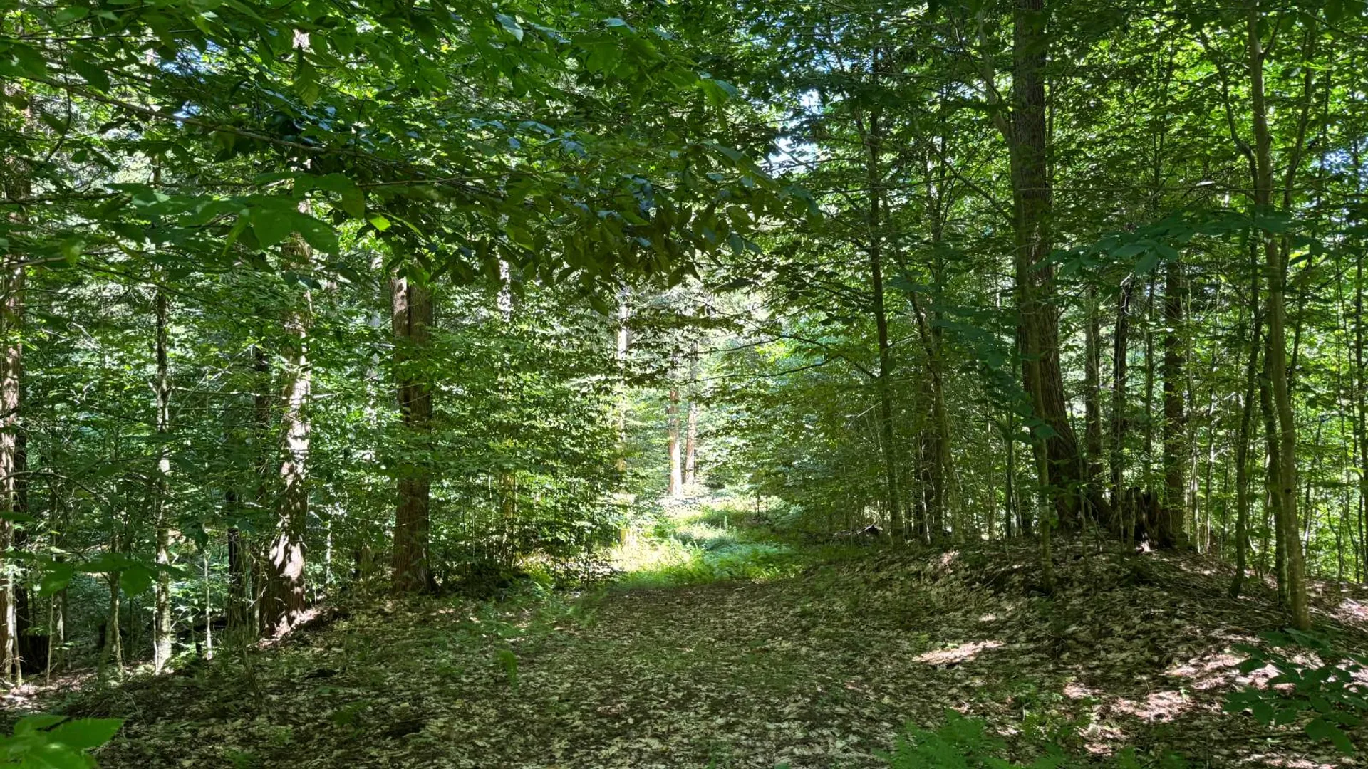 Property at 15 Carleton Pnd Rd, Camden, NY 13316 11