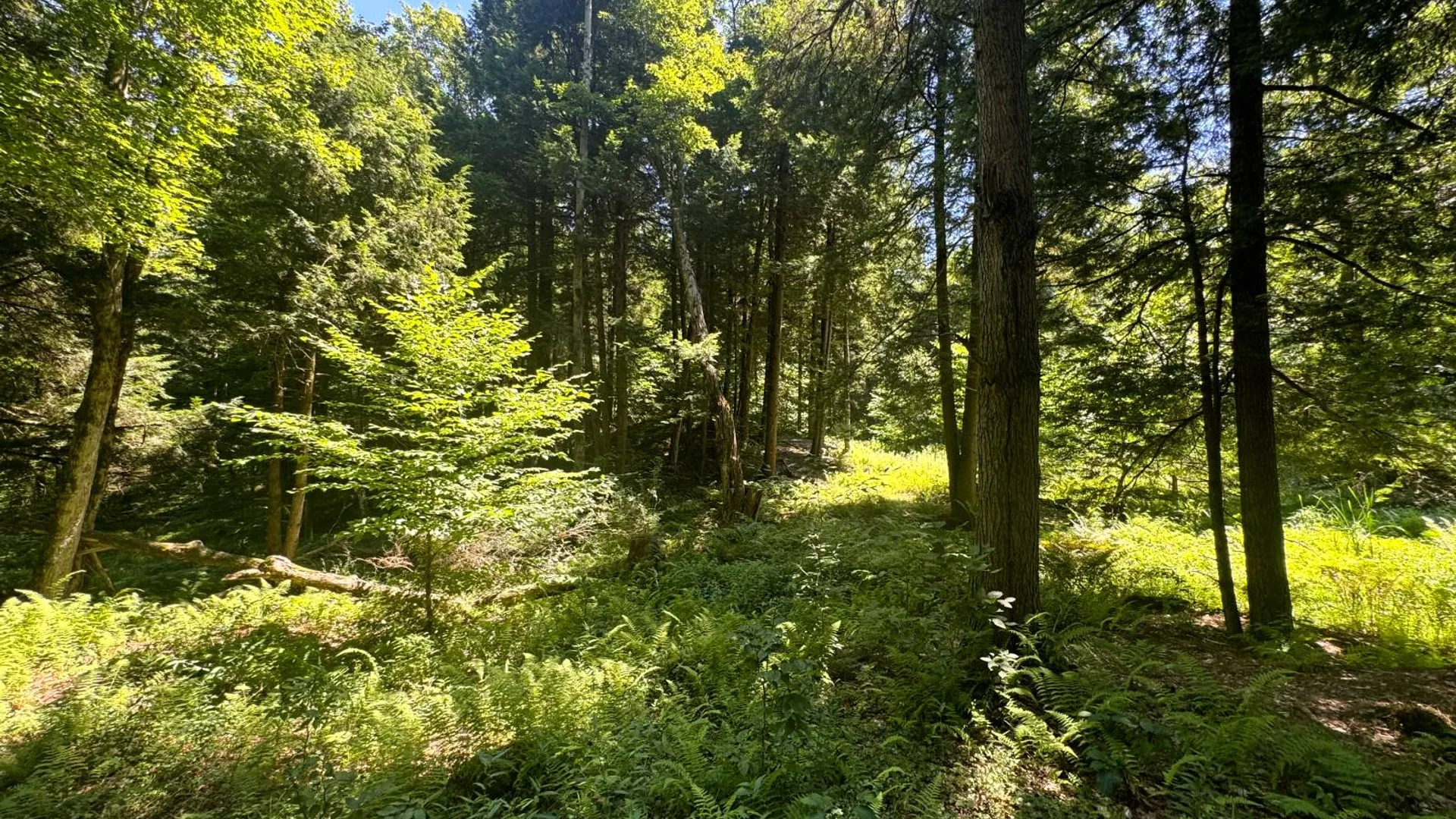 Property at 15 Carleton Pnd Rd, Camden, NY 13316 13