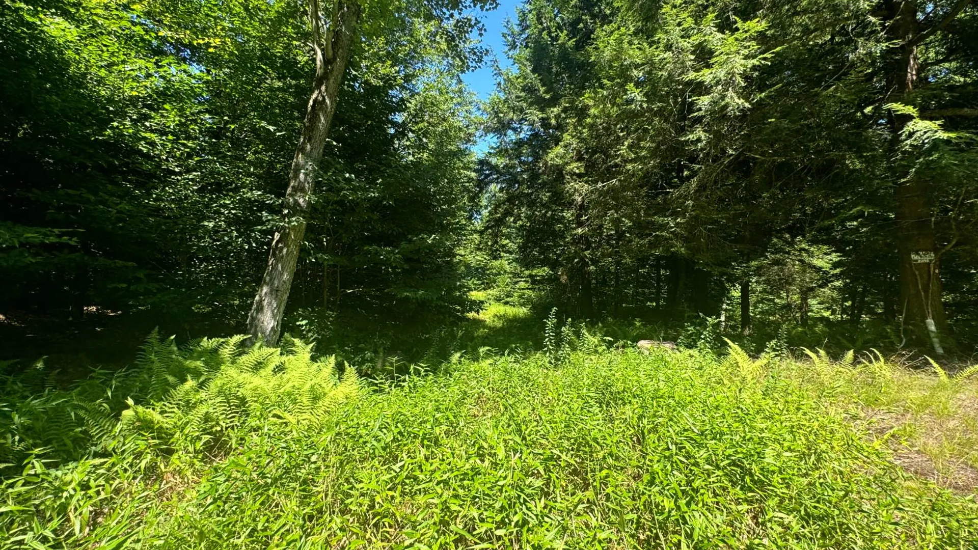 Property at 15 Carleton Pnd Rd, Camden, NY 13316 14