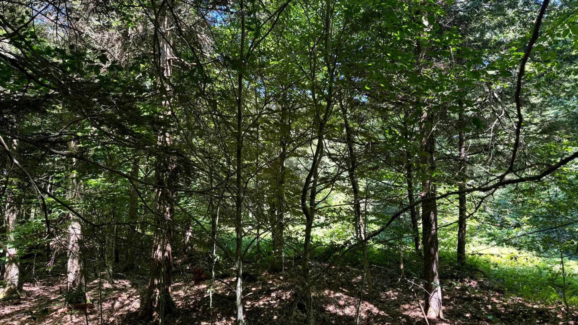 Property at 15 Carleton Pnd Rd, Camden, NY 13316 17