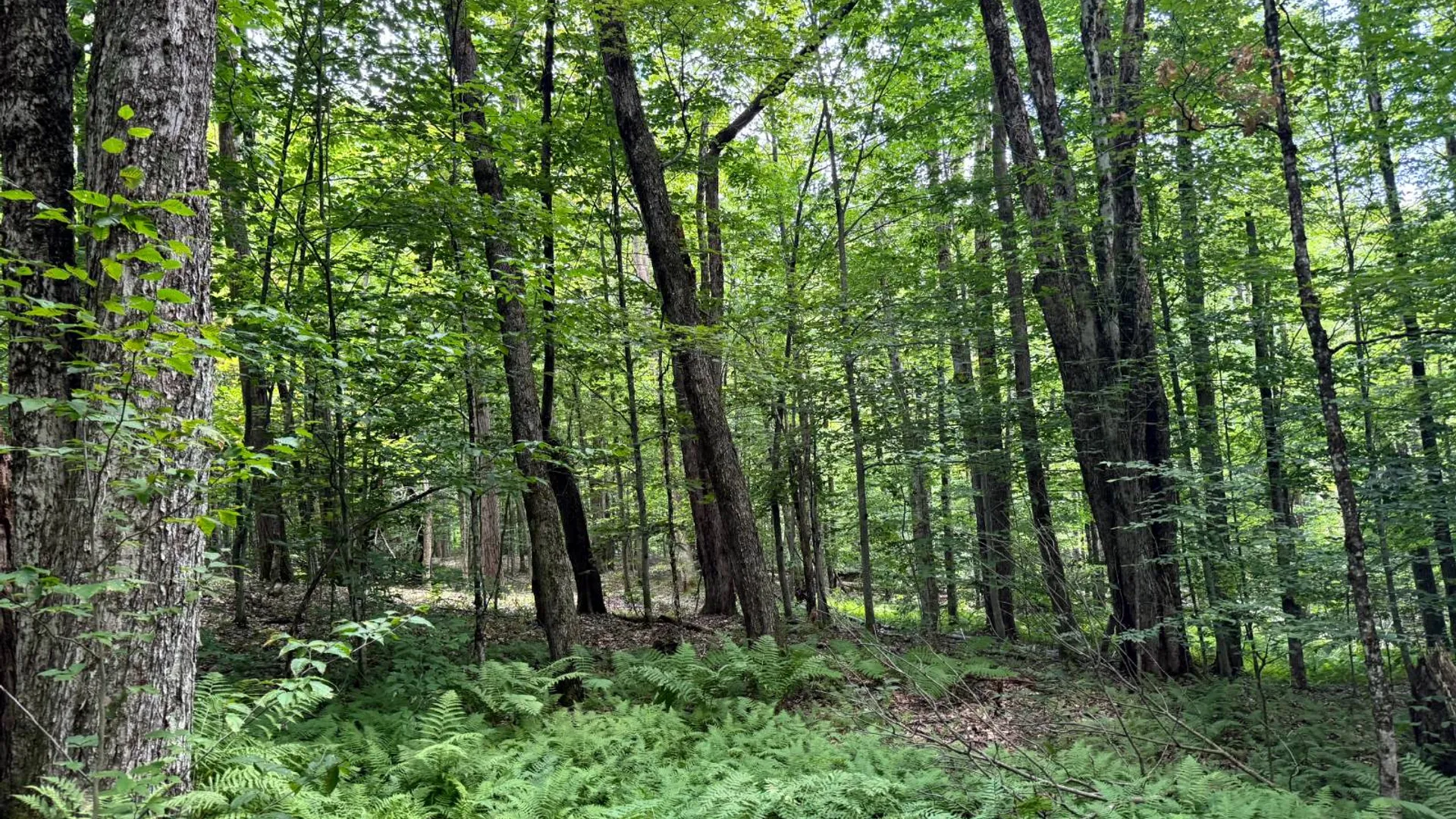 Property at 331 Bull Run Road, Parish, NY 13131 14