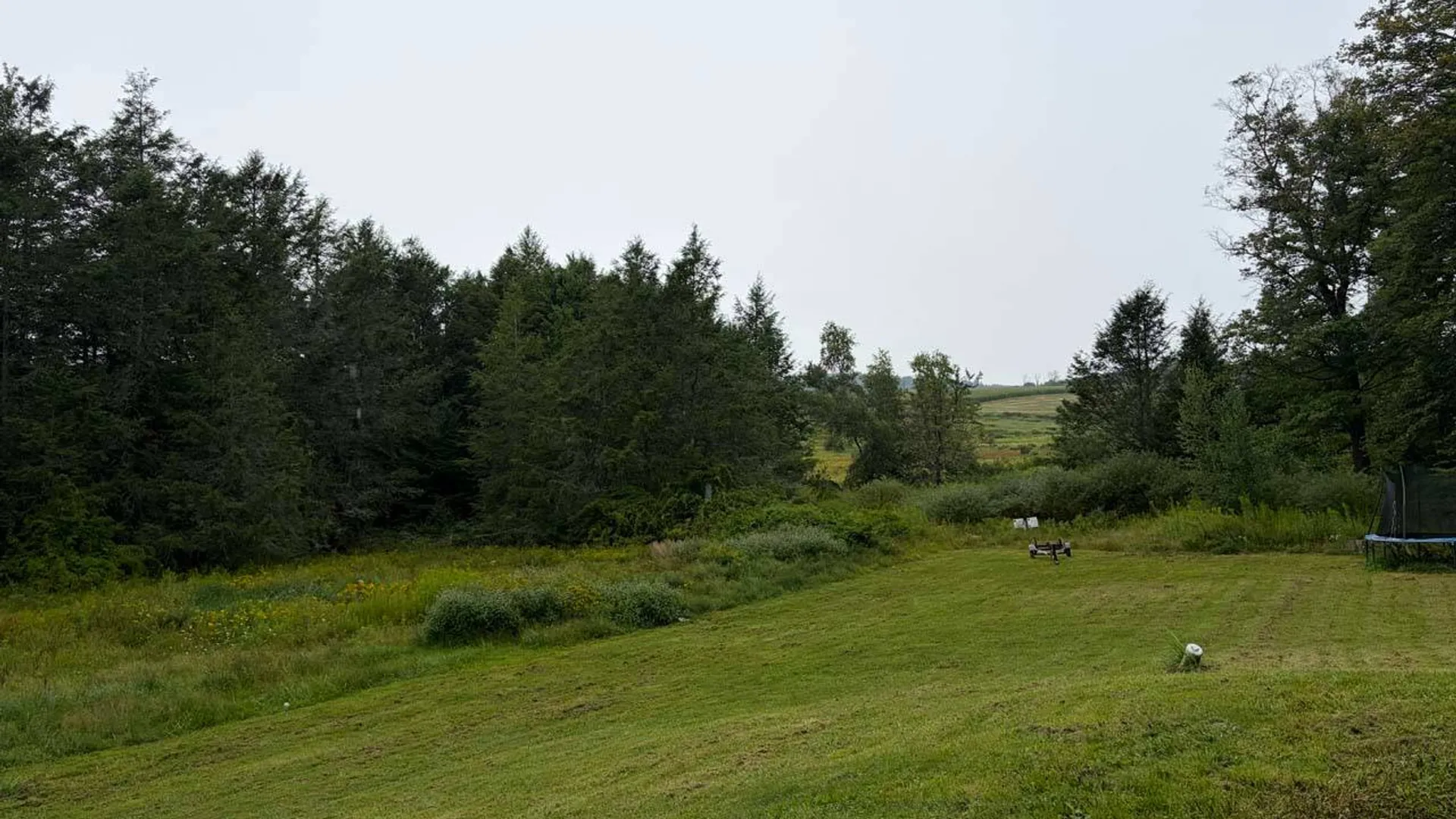 Property at 397 White Sulphur Rd, Swan Lake, NY 12783 50