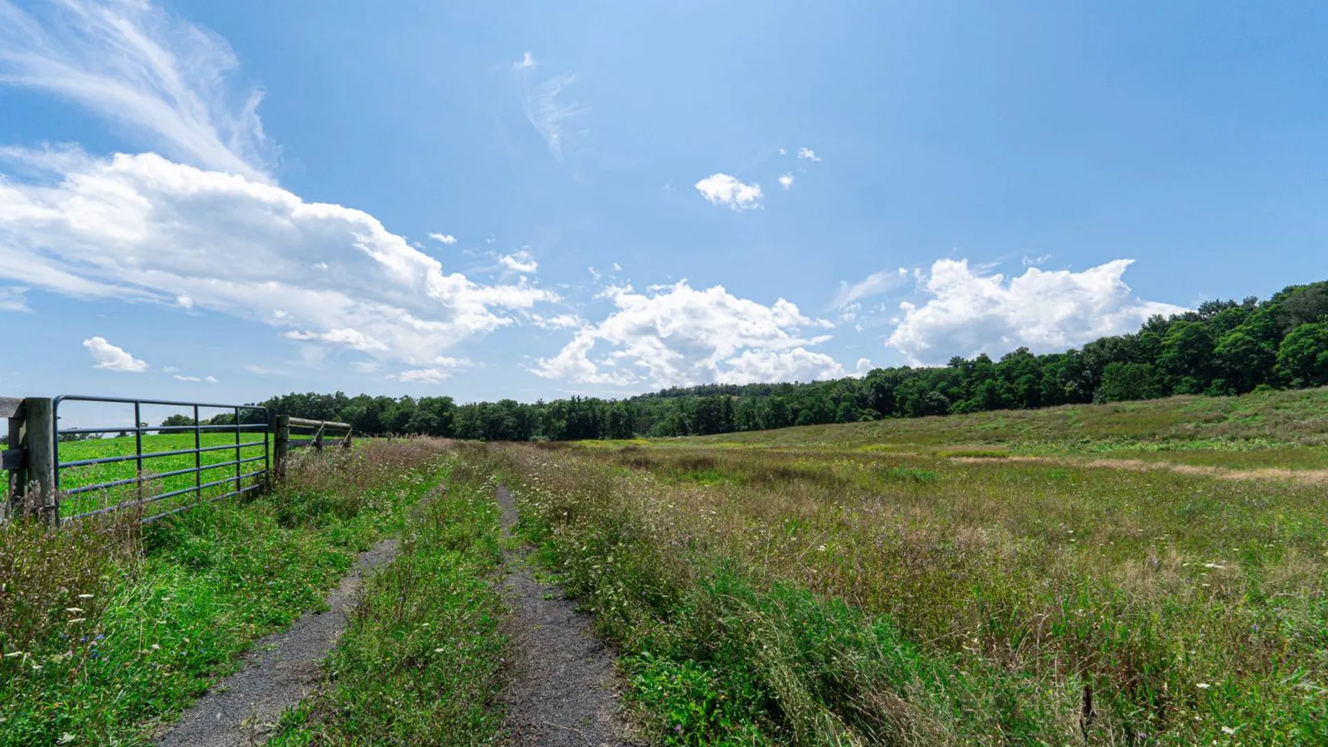 Property at 120 Jordan Rd, Climax, NY 12042 11