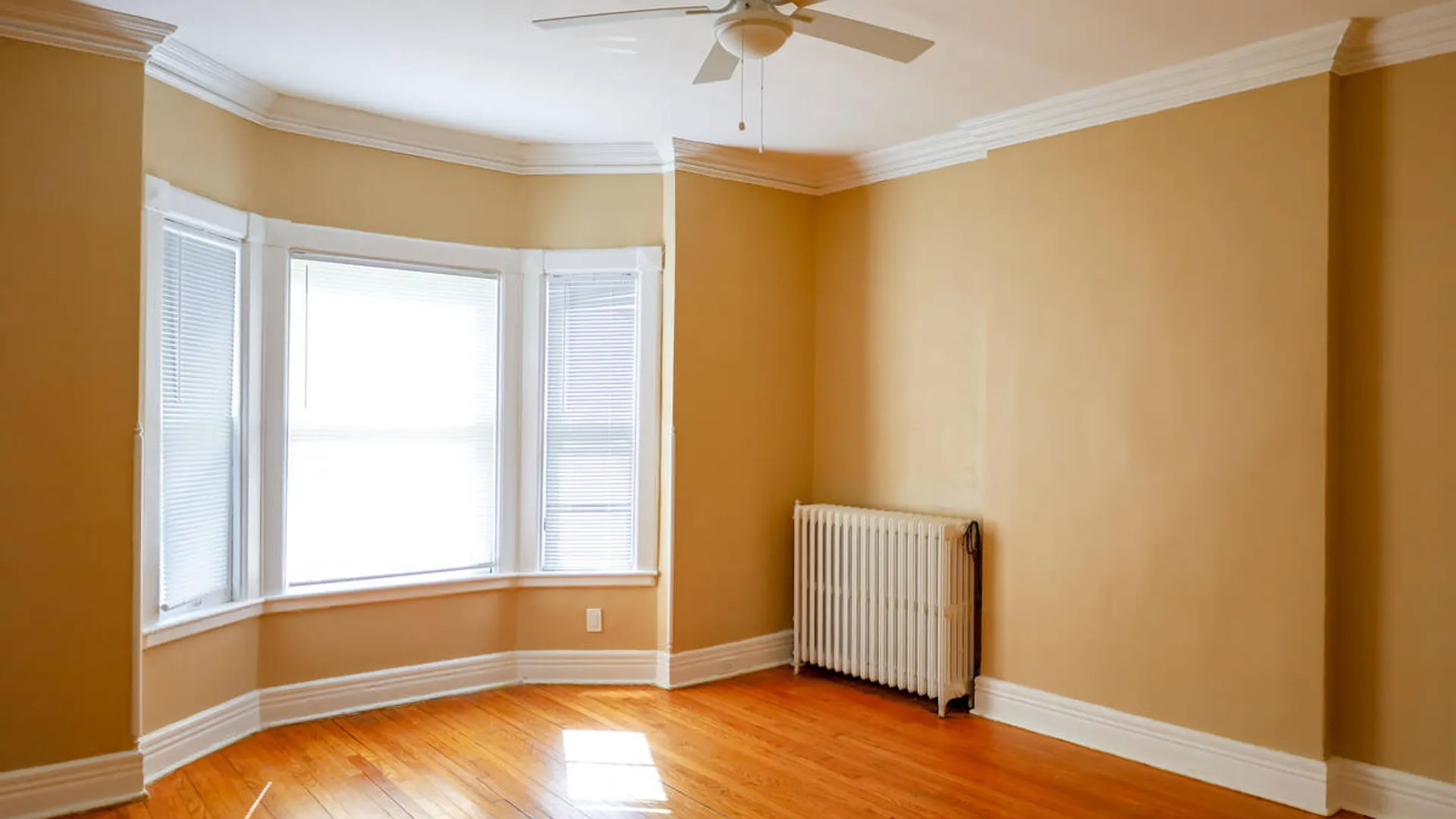 Property at 475 Hamilton Street, Albany, NY 12203 3
