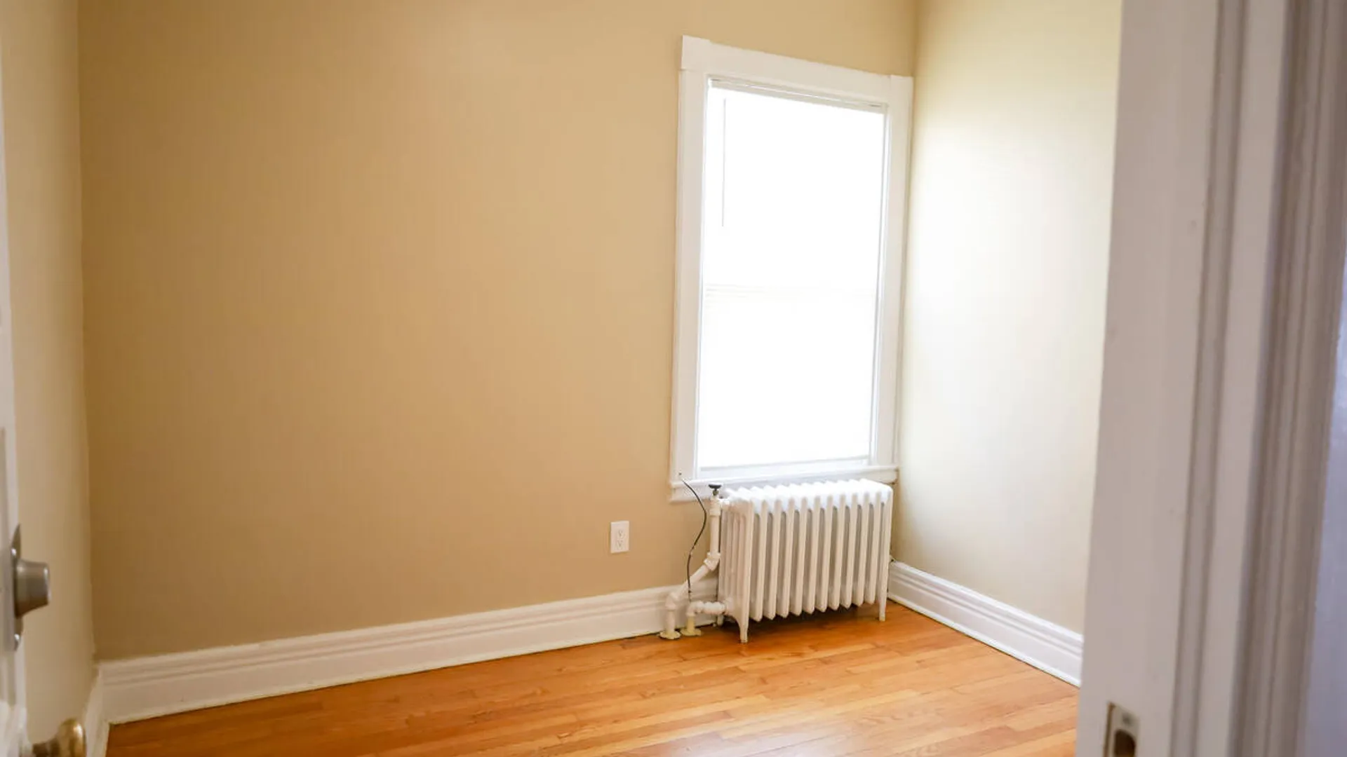 Property at 475 Hamilton Street, Albany, NY 12203 7