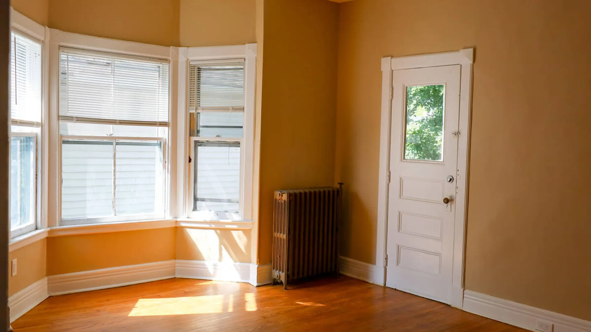 Property at 475 Hamilton Street, Albany, NY 12203 13