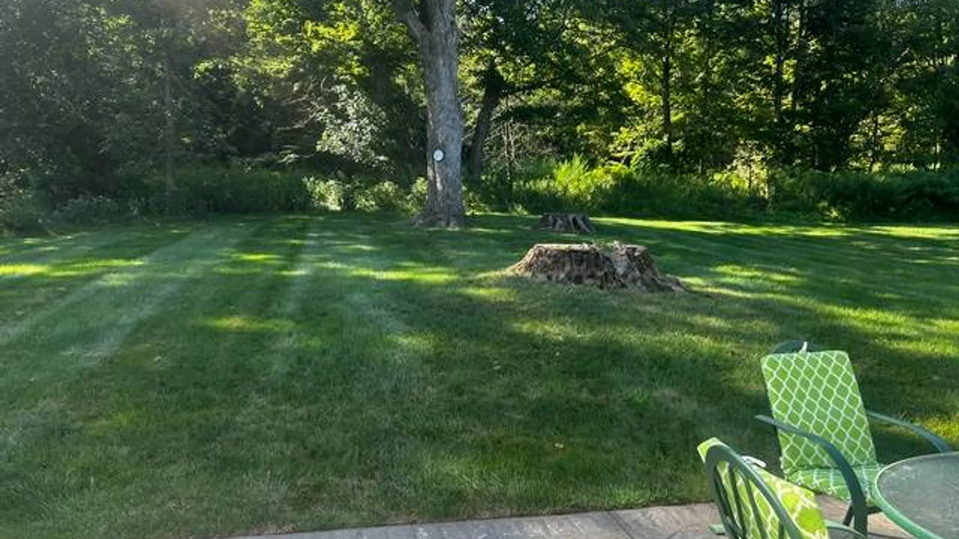 Property at 806 Springdale Avenue, Herkimer, NY 13350 5