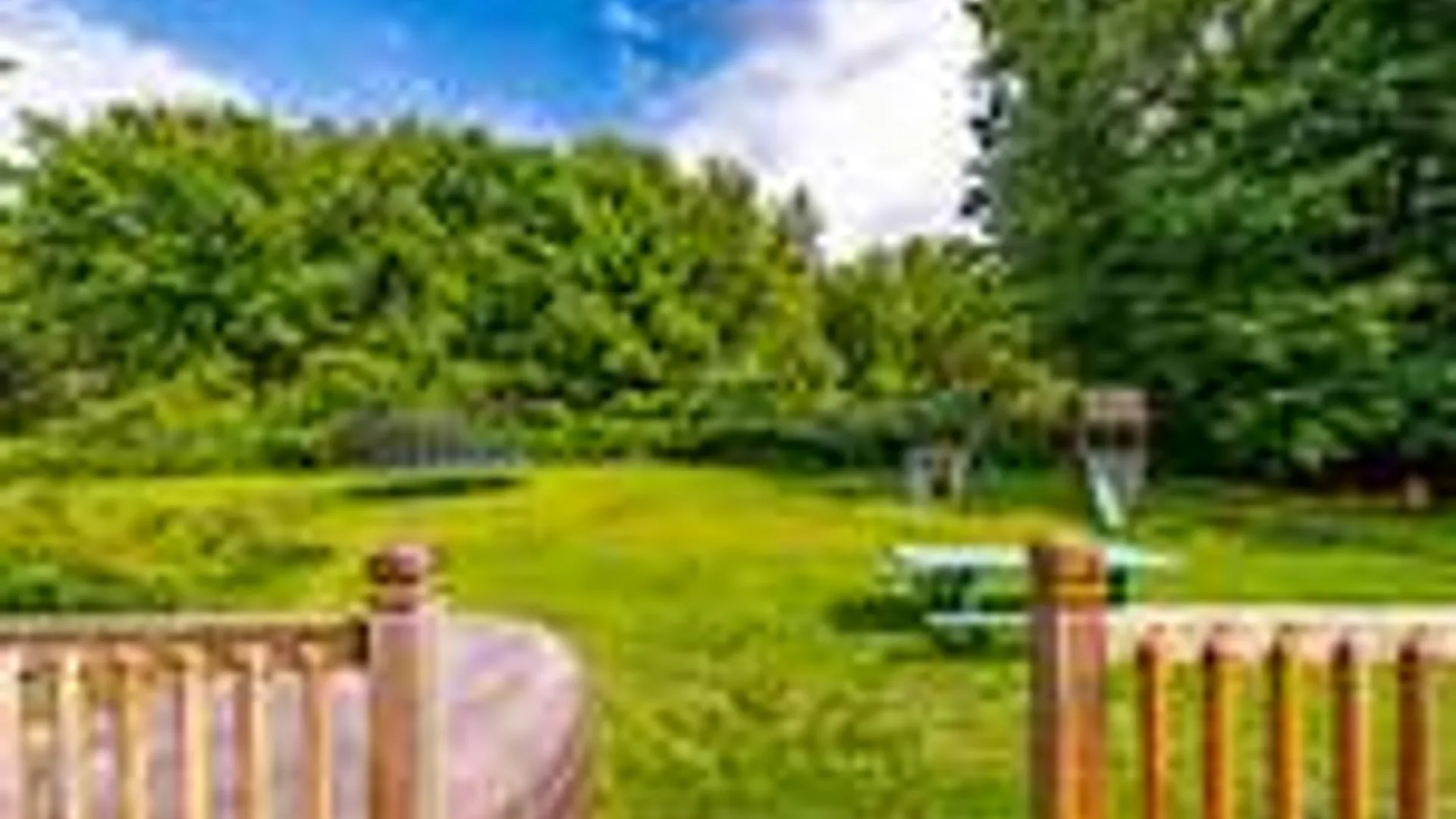 Property at 233 Elm Ave East, Selkirk, NY 12158 10