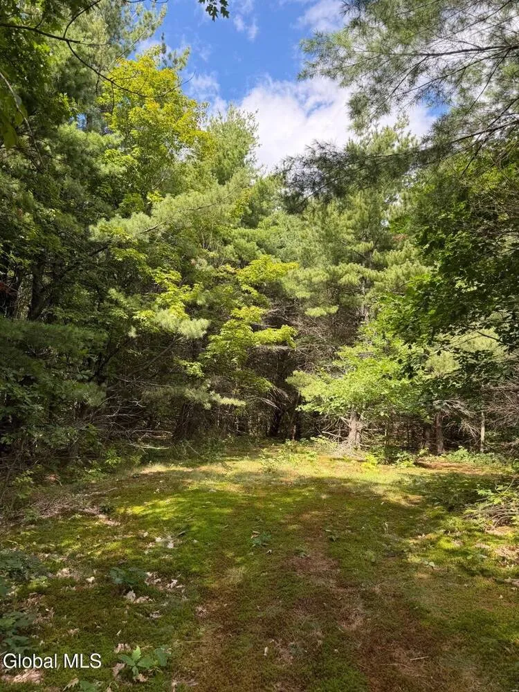 Property at 218 Irish Hill Road, Berne, NY 12059