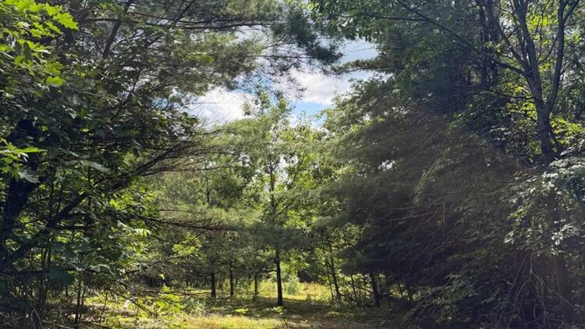 Property at 218 Irish Hill Road, Berne, NY 12059 3