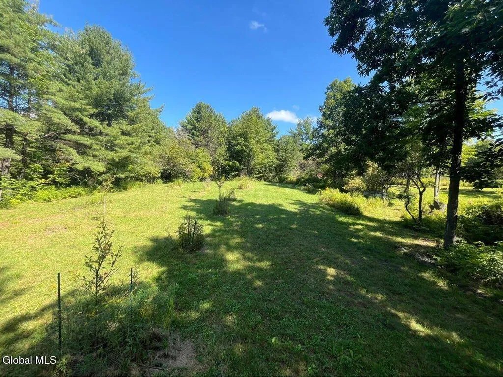Property at 192 Irish Hill Road, Berne, NY 12059