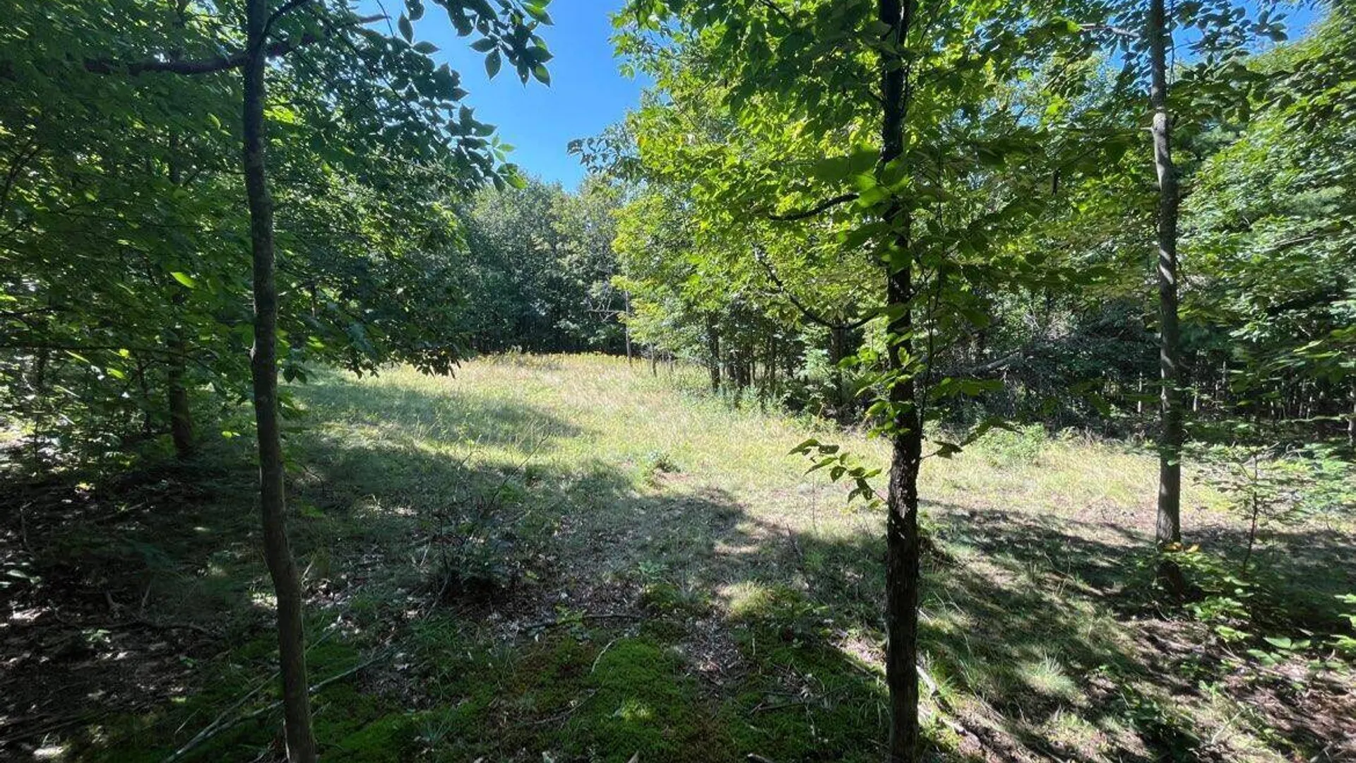 Property at 192 Irish Hill Road, Berne, NY 12059 4