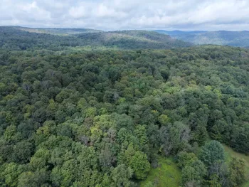 Property at TBD Charles Medlar Road, Long Eddy, NY 12760
