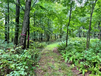 Property at 1.2 Brigham Rd, Richford, NY 13835
