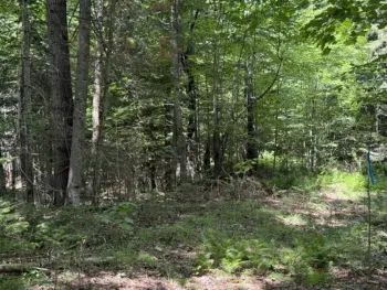 Property at 36 Seclusion Lane, Duane Center, NY 12952