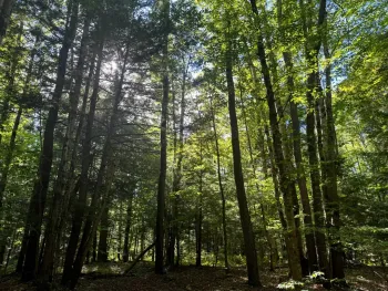 Property at Lot 1 Bull Run Rd., Albion, NY 13302